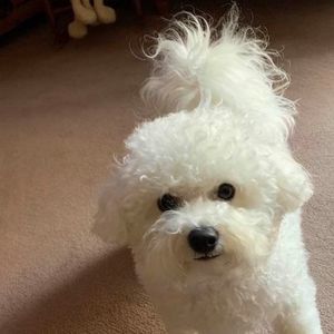 Meet your Posher, Richard marlene